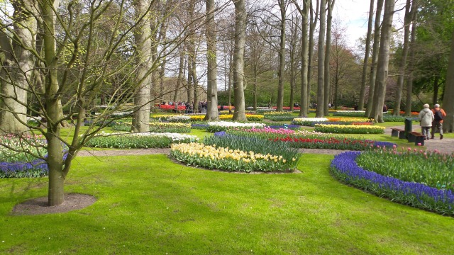 2014-04-17 Holland Tulips 36.jpg